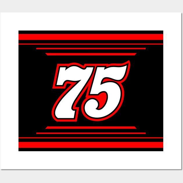 Stefan Parsons #75 2024 NASCAR Design Wall Art by AR Designs 